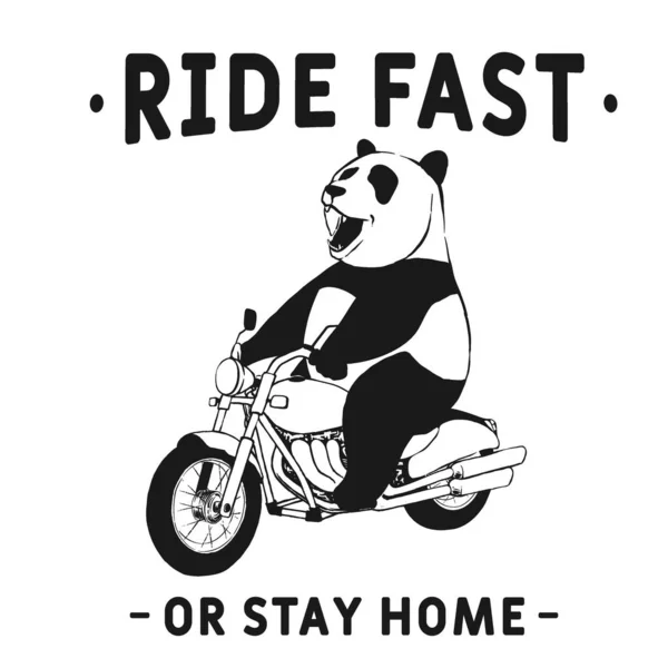 Panda Motorrijders Rijden Motorfiets Beer Motorrijder Vector Illustratie — Stockvector