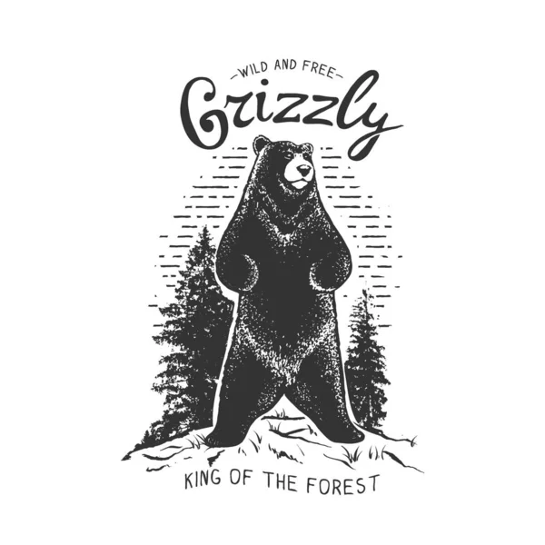 Vintage Badge Grizzly Bear Forest Vector Illustration — Stock Vector