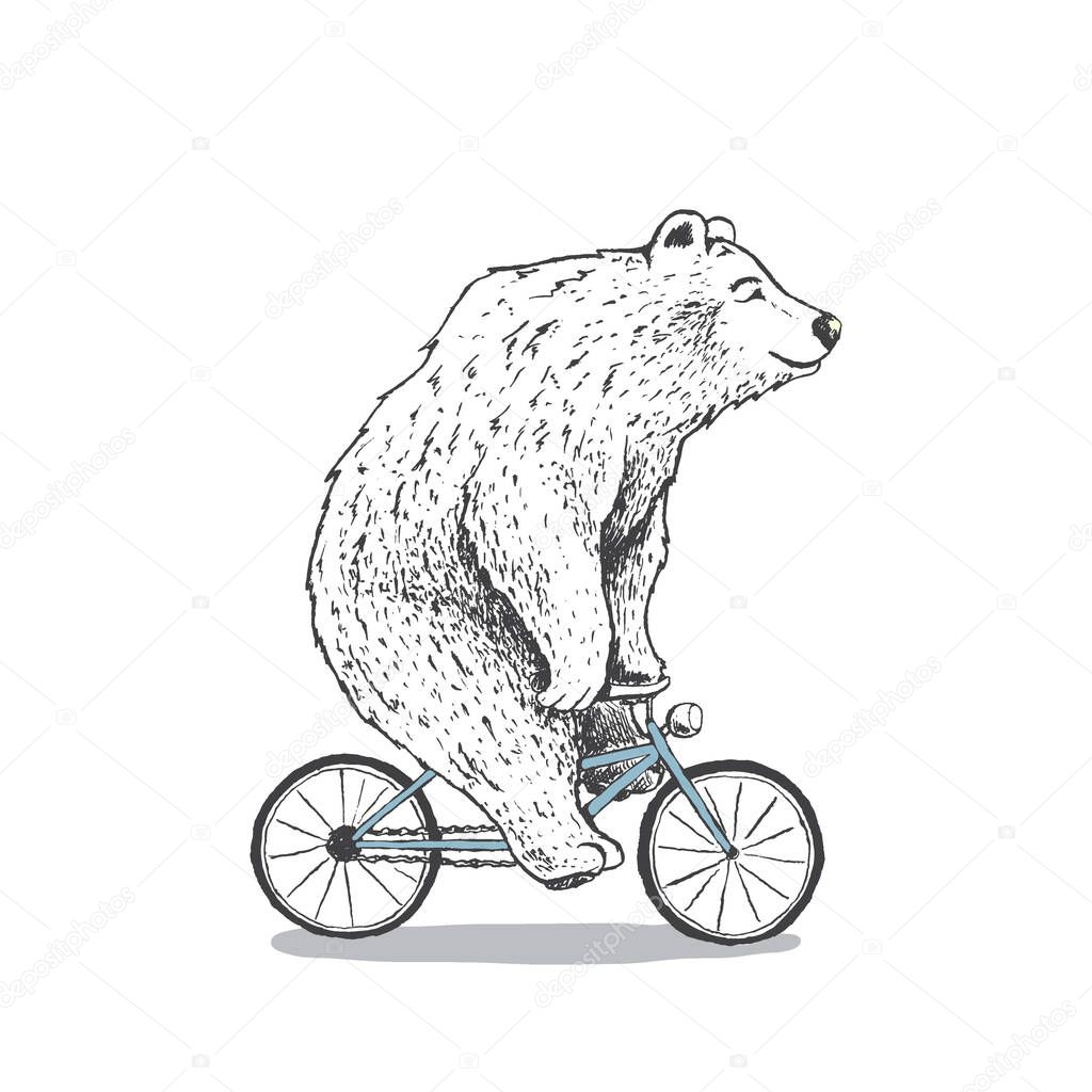 polar bear is riding a bicycle.Hand drawn style.Vector illustration