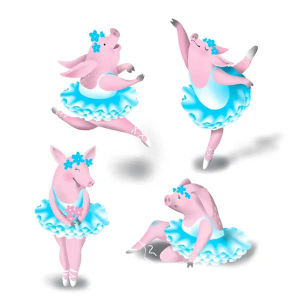 Набор Фотографий Танцующие Иллюстрации Балерины Сказочный Персонаж Свинья Балерина Смешная — стоковое фото