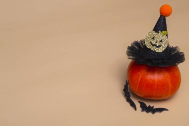 Cadılar Bayramı kavramı, cadı şapkalı balkabağı ve renkli arka planda yarasalar. Cadılar Bayramı 31 Ekim