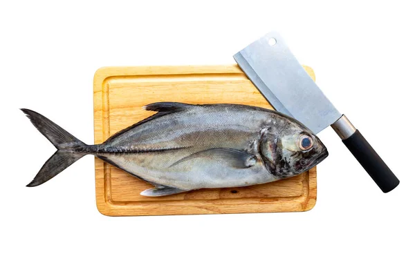Fresh Raw Giant Trevally Fish Cutting Board Flat Lay — Foto Stock