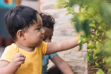 Bahçedeki çalılarla oynayan iki çocuk.