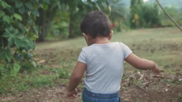 Bebek Tarlada Sırtüstü Yürüyor Uçağın Izini Sürüyor — Stok video