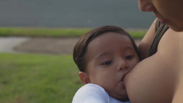 Latina Mutter Stillt Ihr Baby Auf Der Grünen Wiese — Stockvideo