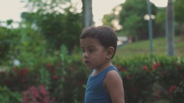 Latin bebek dışarıda yürüyor, gün batımı, orta boy..