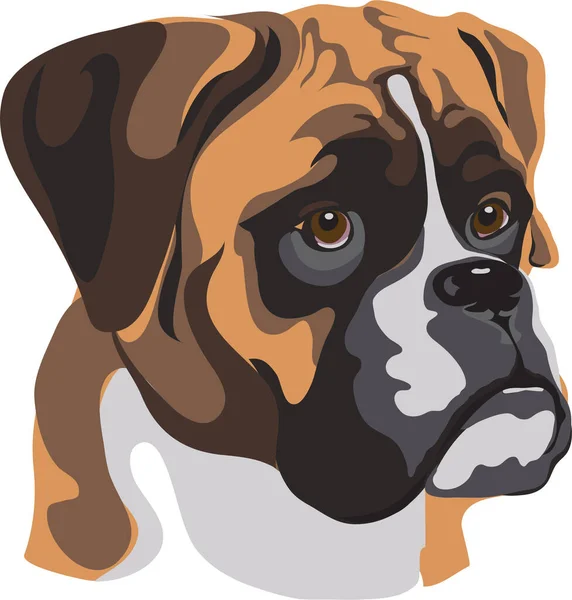 Hund Boxer Mynning Hund Ras Hundar Vektor Bild Ett Porträtt — Stock vektor