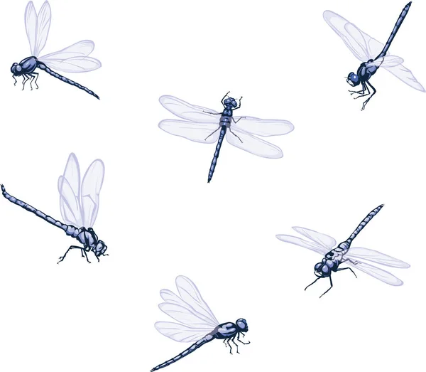 Dragonfly Vectorafbeelding Van Libellen Vliegende Libellen Vectorillustratie Voor Gebruik Logo — Stockvector