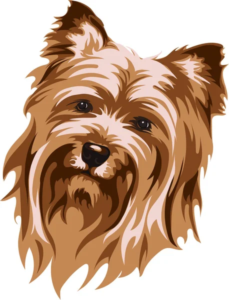 Image Vectorielle Une Muselière Chien Yorkshire Terrier Illustration Vectorielle Utiliser — Image vectorielle