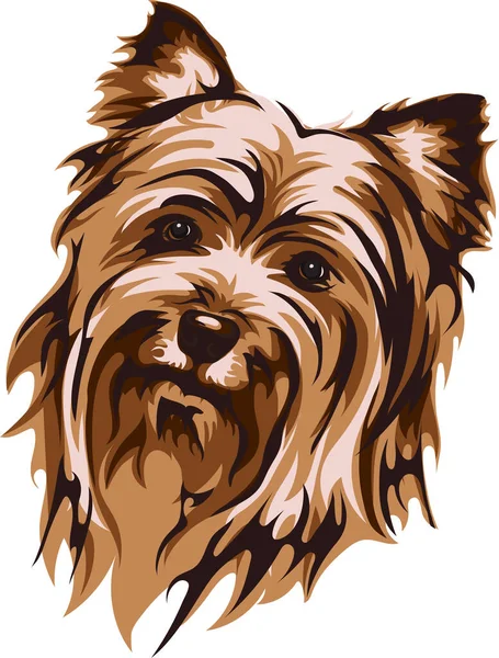 Διανυσματική Εικόνα Ρύγχους Σκύλου Yorkshire Terrier Διανυσματική Απεικόνιση Για Χρήση — Διανυσματικό Αρχείο
