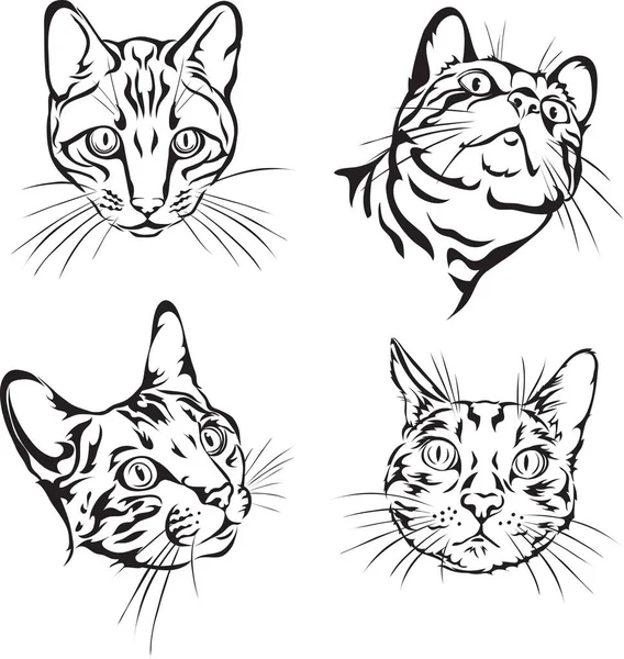 ベンガル猫 肖像画 画像の4つの変種 ベクトル イラスト — ストックベクタ