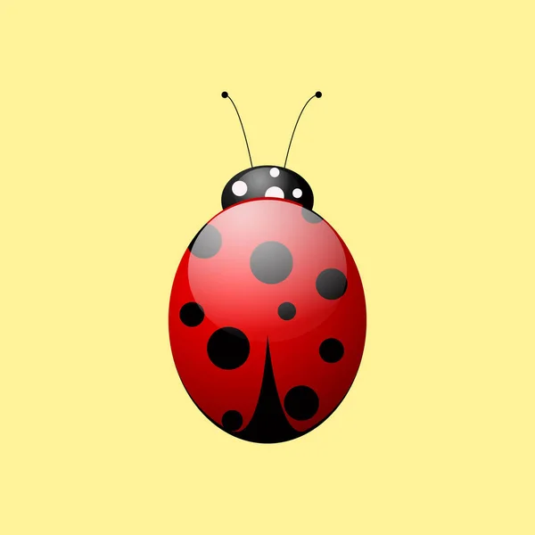 Ladybird Isolated Yellow Background — Stock Photo, Image