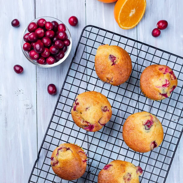 Homemade cranberry orange muffins on cooling rack, top view, square format — Stockfoto
