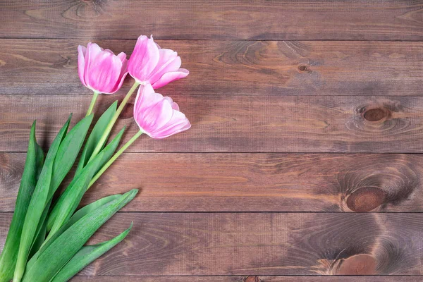 Hermosos tulipanes blancos rosados sobre fondo de madera marrón oscuro, horizontal, espacio de copia, vista superior — Foto de Stock