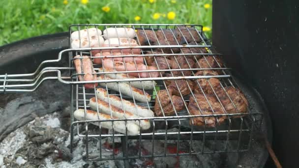 Zbliżenie Bbq Gatunku Grill Mięsem Kiełbasami Gotowe Jedzenia Trawa Podwórkowa — Wideo stockowe