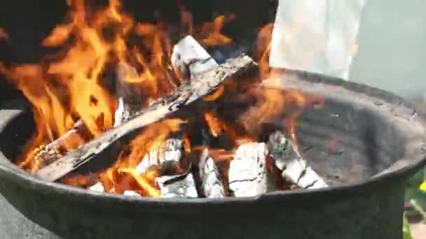 Wooden Logs Burning Old Barrel Outdoors — Stock Video