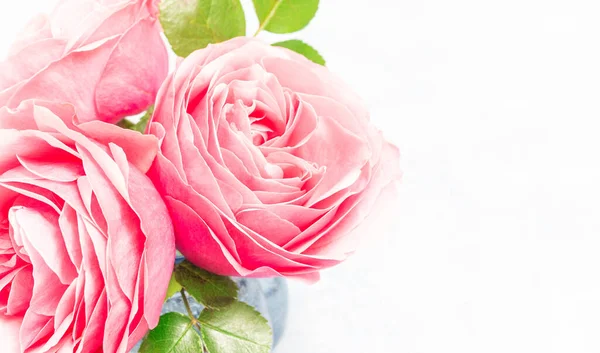 Букет Красивих Рожевих Садових Троянд Вазі Горизонтальний Крупним Планом Копіювати — стокове фото