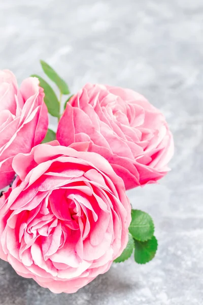 Букет Красивих Рожевих Садових Троянд Сірому Фоні Вертикальний Крупним Планом — стокове фото
