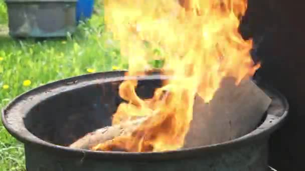 Fire Burning Old Barrel Outdoors Closeup — Stock Video