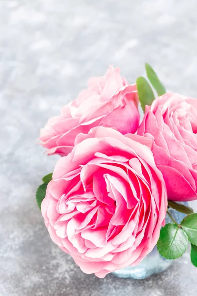 Красиві Рожеві Садові Троянди Сірому Фоні Вертикальні Крупним Планом Копіювати — стокове фото