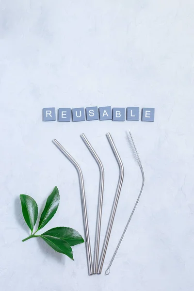Reusable Stainless Steel Straws Cleaning Brush Green Leaves Word Reusable — Foto de Stock