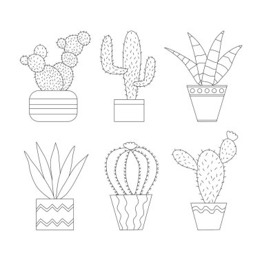 Set of different cactus in pots, Indian fig, Saguaro, Zebra haworthia aloe, Aloe vera, Golden barrel , Angel wing, flat doodle vector outline illustration