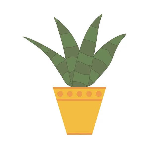 Zebra Haworthia Aloe Cactus Pot Flat Doodle Vector Illustration — Image vectorielle