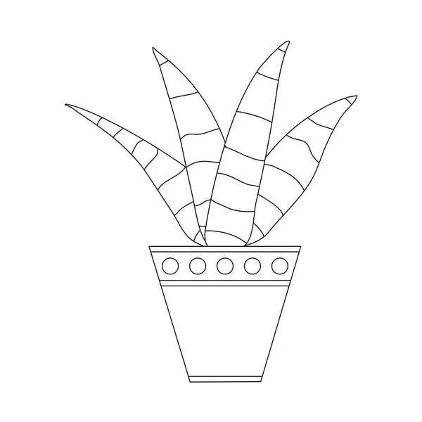 Zebra Haworthia Aloe Cactus Pot Flat Doodle Vector Outline Illustration — Wektor stockowy