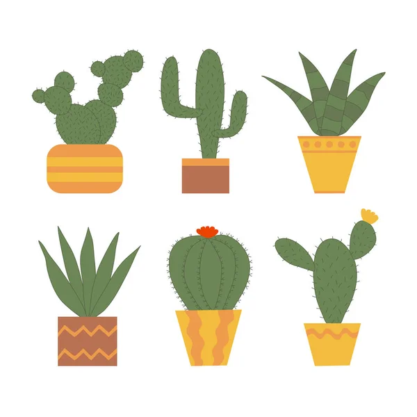 Set of different cactus in pots, Indian fig, Saguaro, Zebra haworthia aloe, Aloe vera, Golden barrel , Angel wing, flat doodle vector illustration