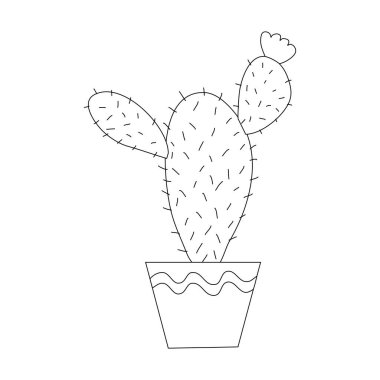 Cactus Angel wing with a flower in a pot, cartoon style flat raster outline illustration