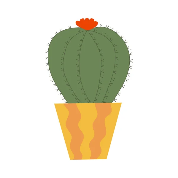 Golden barrel cactus plant with flower in pot, flat raster illustration