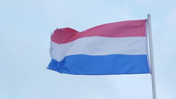 Flag Netherlands Waving Wind Blue Sky Background Closeup High Quality — Stockvideo