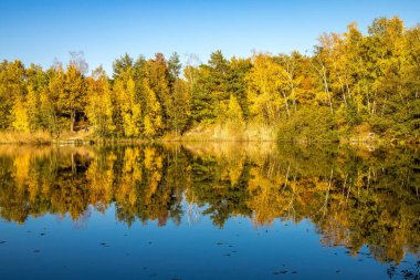 Almanya 'da Oberwaldsee adında küçük güzel bir göl Sonbaharda güneşli bir günde Suya yansıyan renkli bir ormanla.