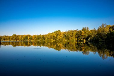 Almanya 'da Oberwaldsee adında küçük güzel bir göl Sonbaharda güneşli bir günde Suya yansıyan renkli bir ormanla.