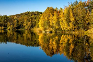 Almanya 'da Oberwaldsee adında küçük güzel bir göl Sonbaharda güneşli bir günde Suya yansıyan renkli bir ormanla.