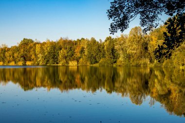 Almanya 'da Oberwaldsee adında küçük güzel bir göl Sonbaharda güneşli bir günde Suya yansıyan renkli bir ormanla.