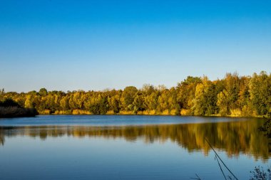 Almanya 'da Oberwaldsee adında küçük güzel bir göl Sonbaharda güneşli bir günde Suya yansıyan renkli bir ormanla.