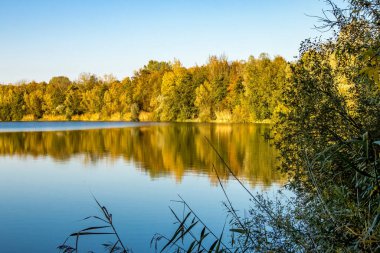 Almanya 'da Oberwaldsee adında küçük güzel bir göl Sonbaharda güneşli bir günde Suya yansıyan renkli bir ormanla.