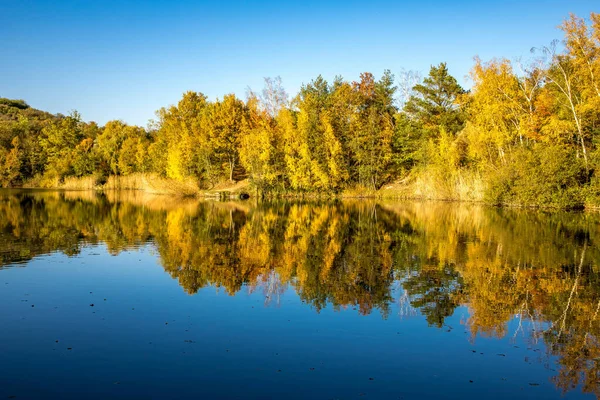 Krásné Jezírko Oberwaldsee Německu Slunečného Podzimního Dne Pestrobarevným Lesem Odrážejícím — Stock fotografie