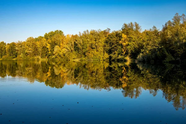 Piękne Jeziorko Oberwaldsee Niemczech Słoneczny Dzień Jesienią Kolorowym Lasem Odbijającym — Zdjęcie stockowe