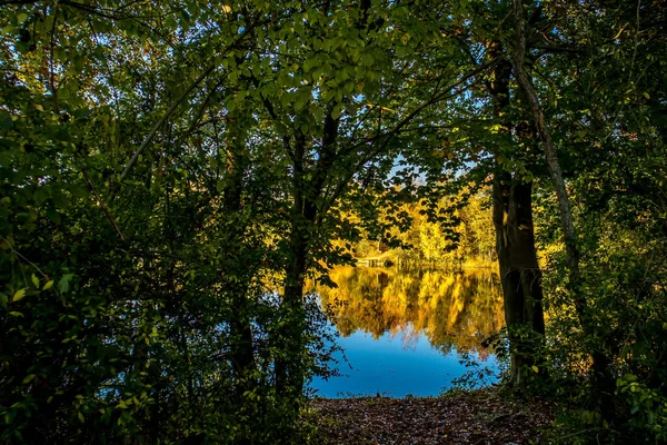 Almanya Oberwaldsee Adında Küçük Güzel Bir Göl Sonbaharda Güneşli Bir — Stok fotoğraf