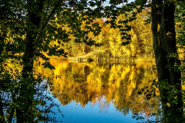 Egy Gyönyörű Kis Amit Oberwaldsee Nek Hívnak Németországban Ősszel Egy — Stock Fotó