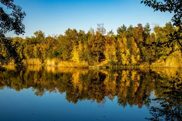 Piękne Jeziorko Oberwaldsee Niemczech Słoneczny Dzień Jesienią Kolorowym Lasem Odbijającym — Zdjęcie stockowe