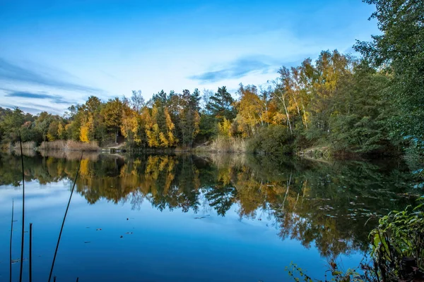 Piękne Jeziorko Oberwaldsee Niemczech Słoneczny Dzień Jesienią Kolorowym Lasem Odbijającym — Zdjęcie stockowe