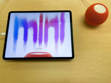 New Jersey, ABD - 21 Eylül 2022: Apple HomePod Mini hakkında farklı renklerde bilgi arayan bir Alman fotoğrafçı. 