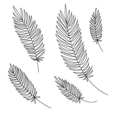 Palmiye yaprakları çizgisi. Özet geç. Vektör, illüstrasyon, izole. Ayarla