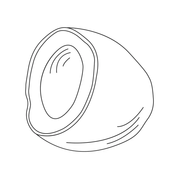 Art de demi-ligne de noix de coco. Les grandes lignes. Vecteur, illustration, isolé — Image vectorielle