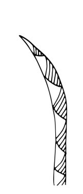 Bitki. Karalama biçimi taslağında el çizimi vektör bitkisi