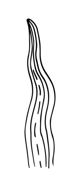 Βότανο. Χειροποίητο διανυσματικό βότανο σε στυλ doodle περίγραμμα — Διανυσματικό Αρχείο