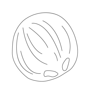 Hindistan cevizi çizgisi sanatı. Özet geç. Vektör, illüstrasyon, izole